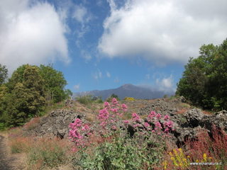 Pianobello - 26-05-2013 09-31-53.JPG